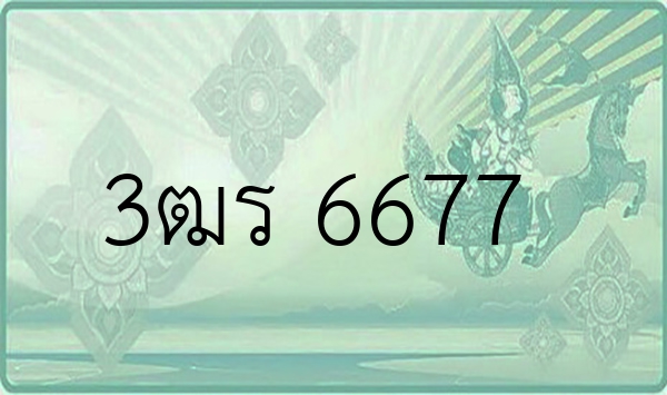 3ฒร 6677